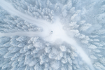 雪景