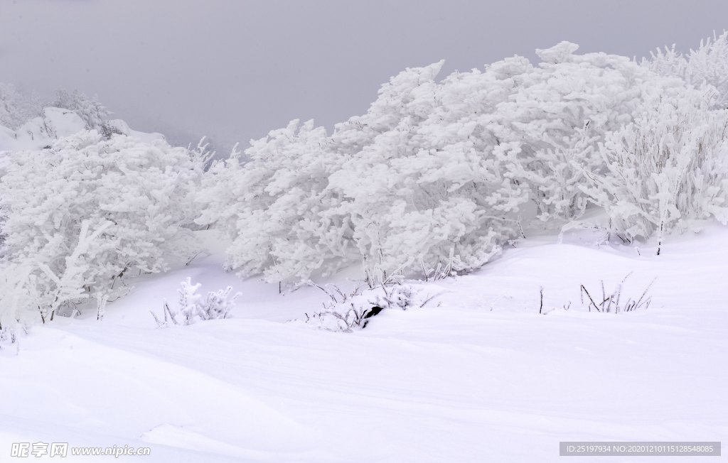 雪景