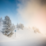 雪景