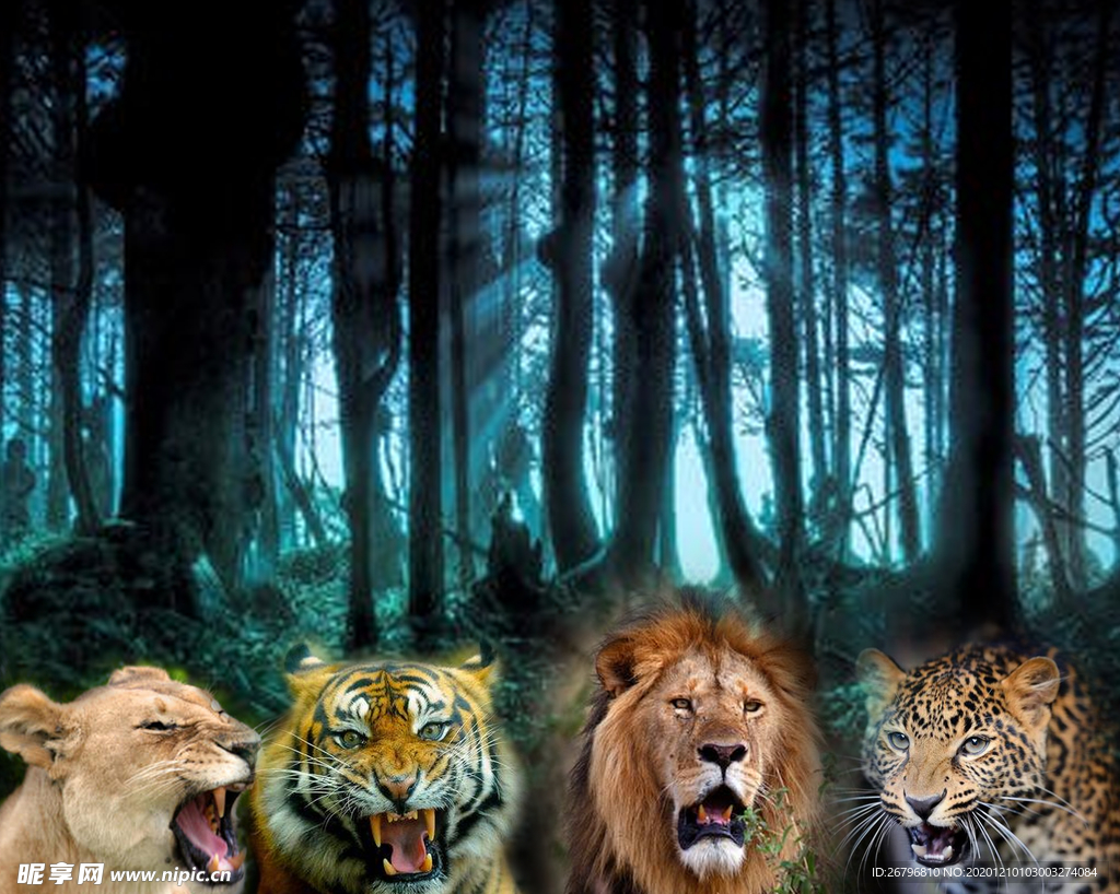 森林老虎狮子
