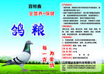 鸽粮