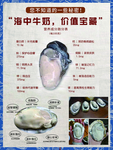 海鲜
