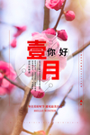你好一月