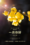你好一月
