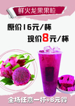 火龙果果粒饮料展板