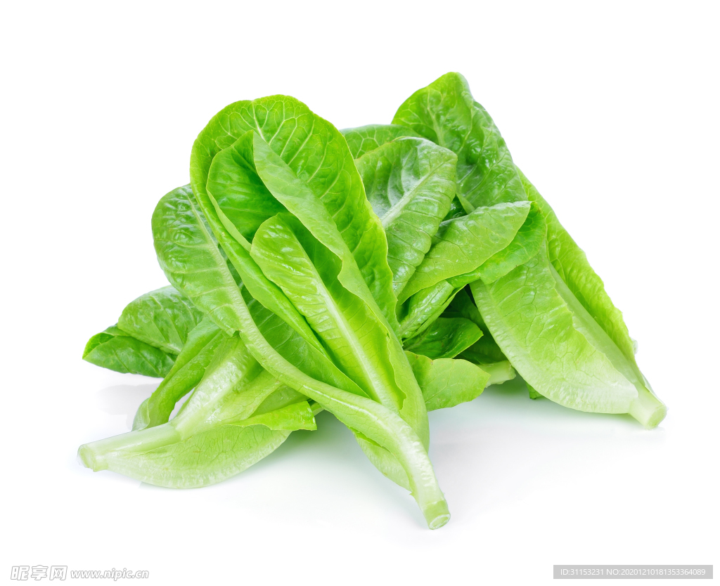 青菜