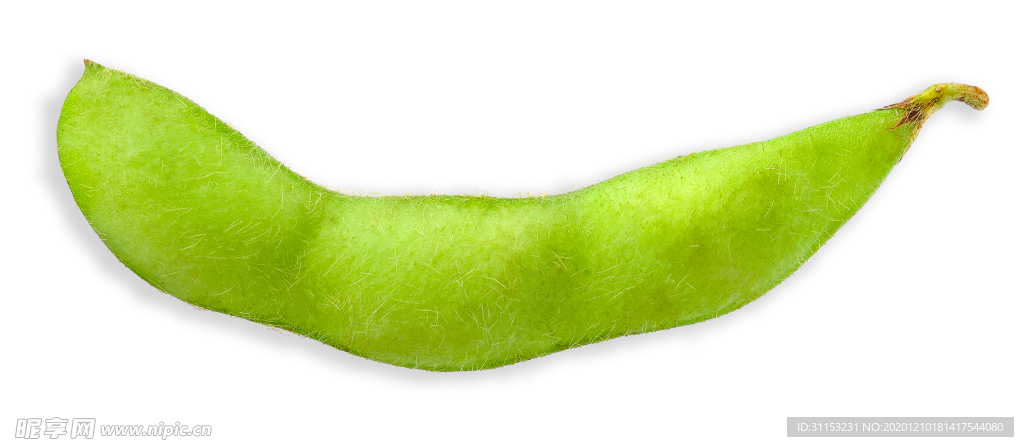 毛豆