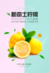 柠檬宣传海报