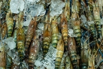 海鲜料理