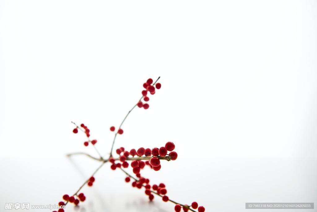 圣诞节