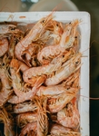 海鲜料理