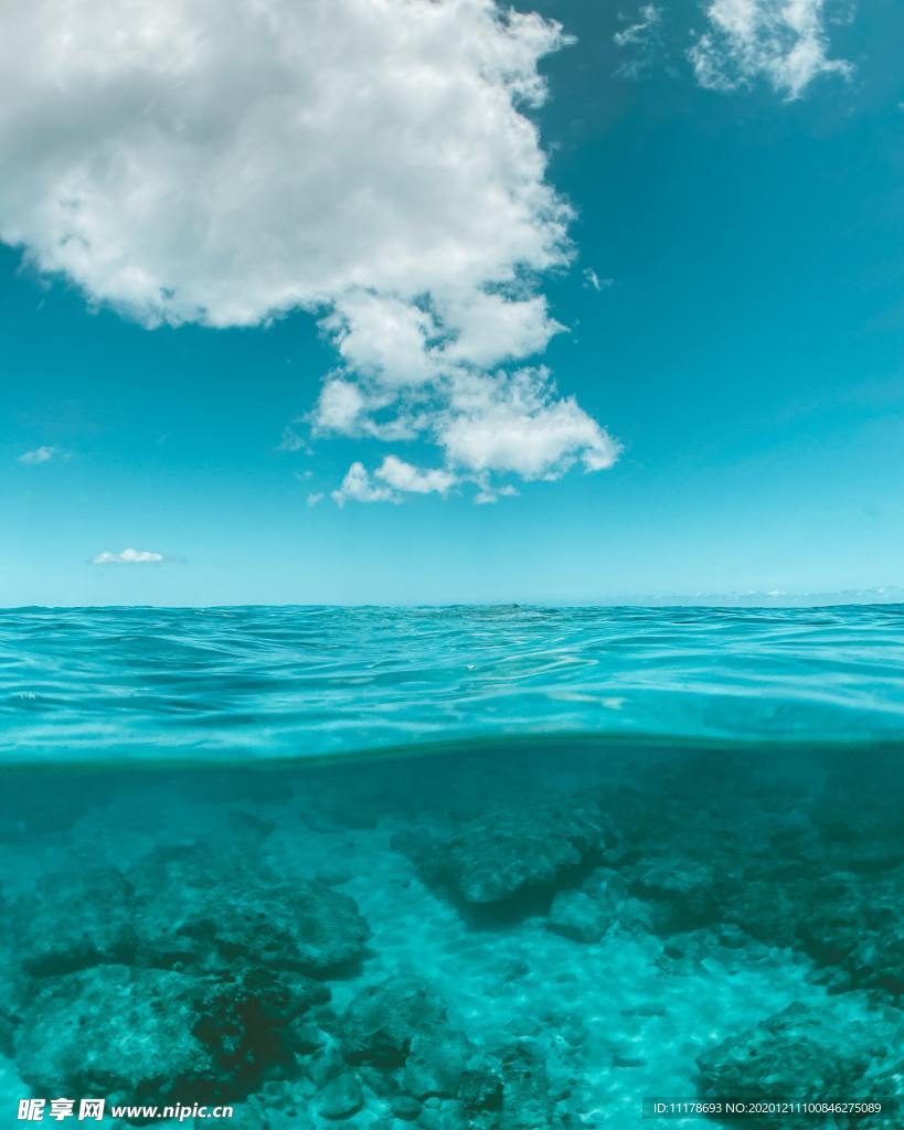 海