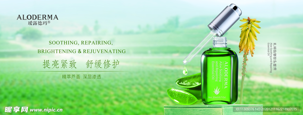 瑷露德玛