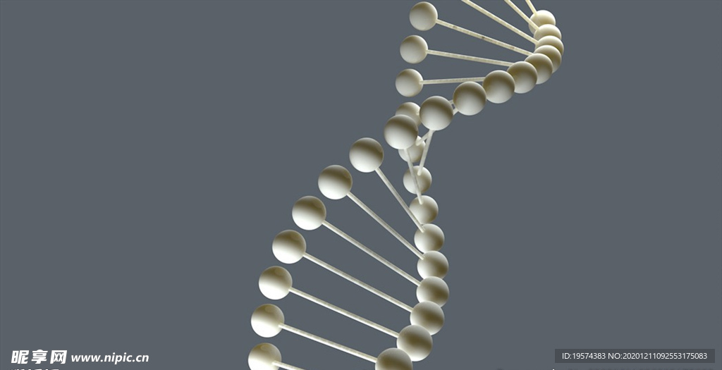 C4D 模型DNA基因