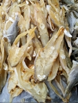 海鱼