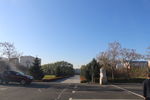 五常