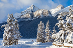 雪景