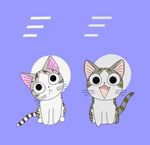 小猫