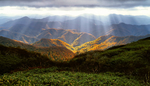 风景