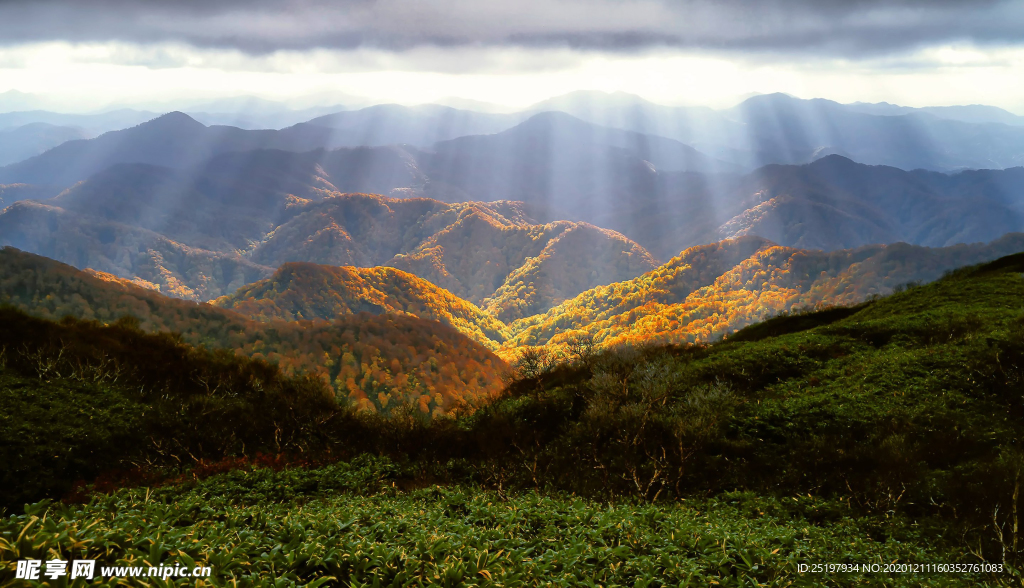 风景