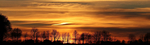 夕阳