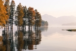 风景