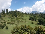 风景