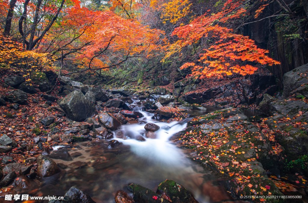 风景
