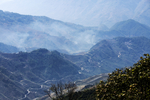 风景