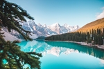 风景
