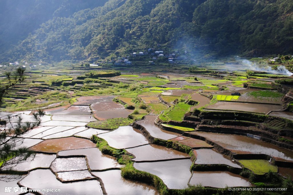 风景