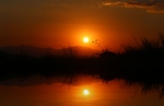 夕阳