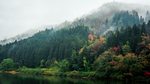 风景