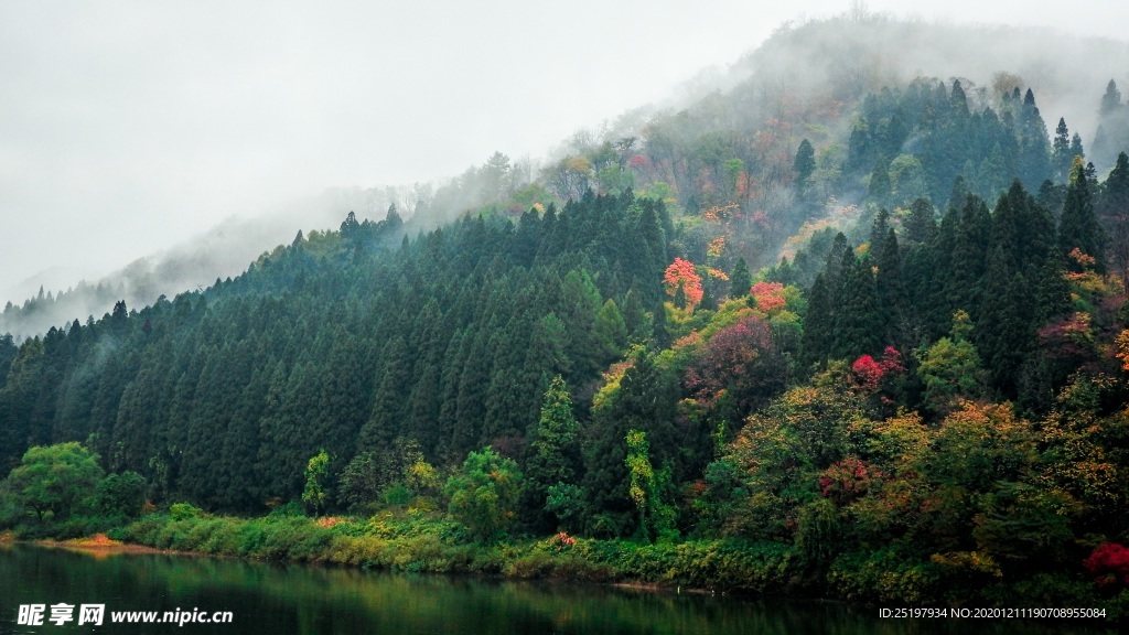 风景