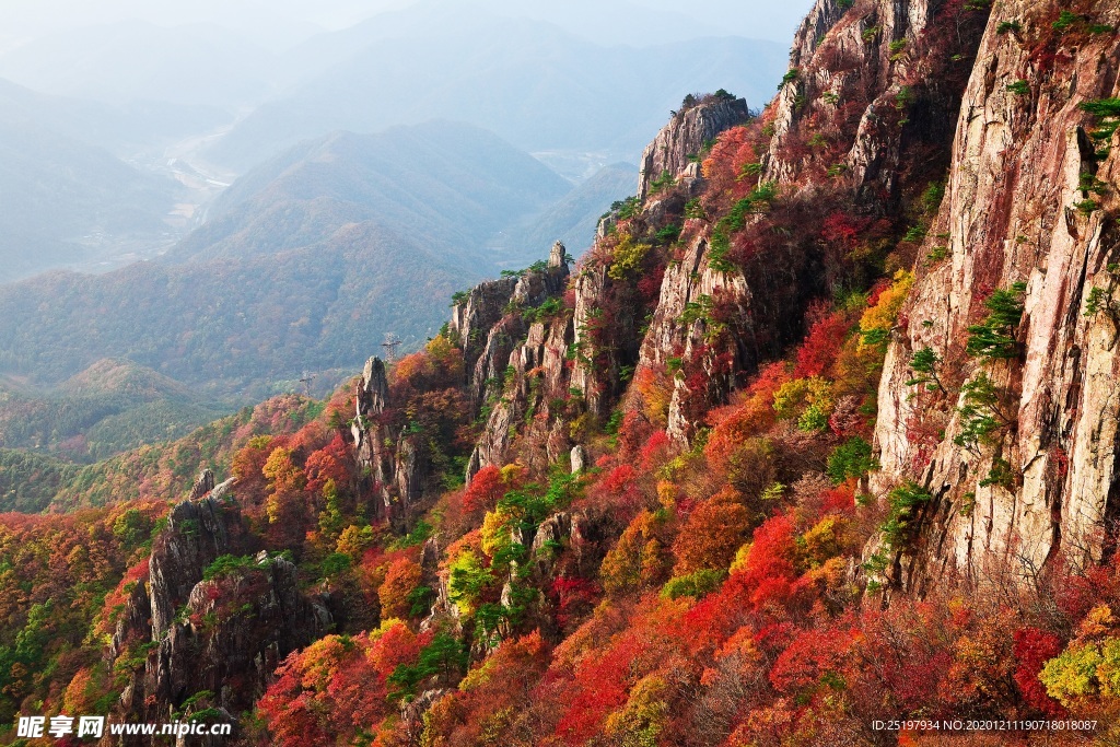 风景