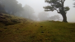 风景