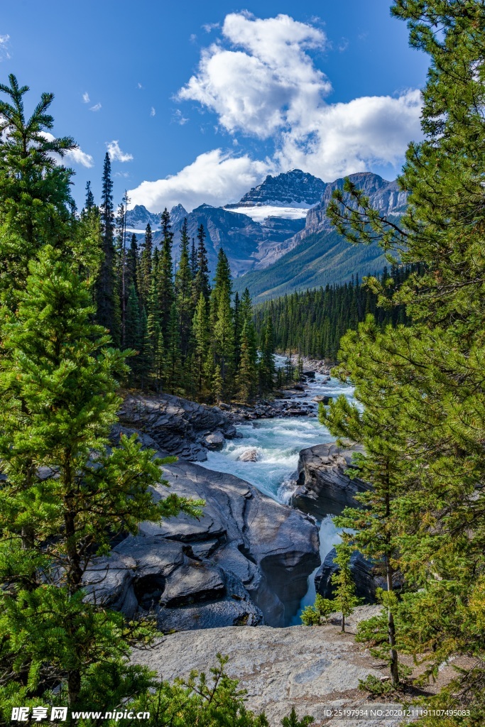 风景