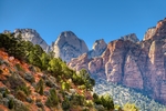 风景