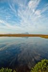 风景