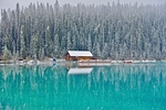 风景