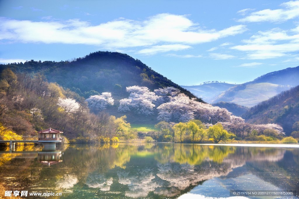 风景