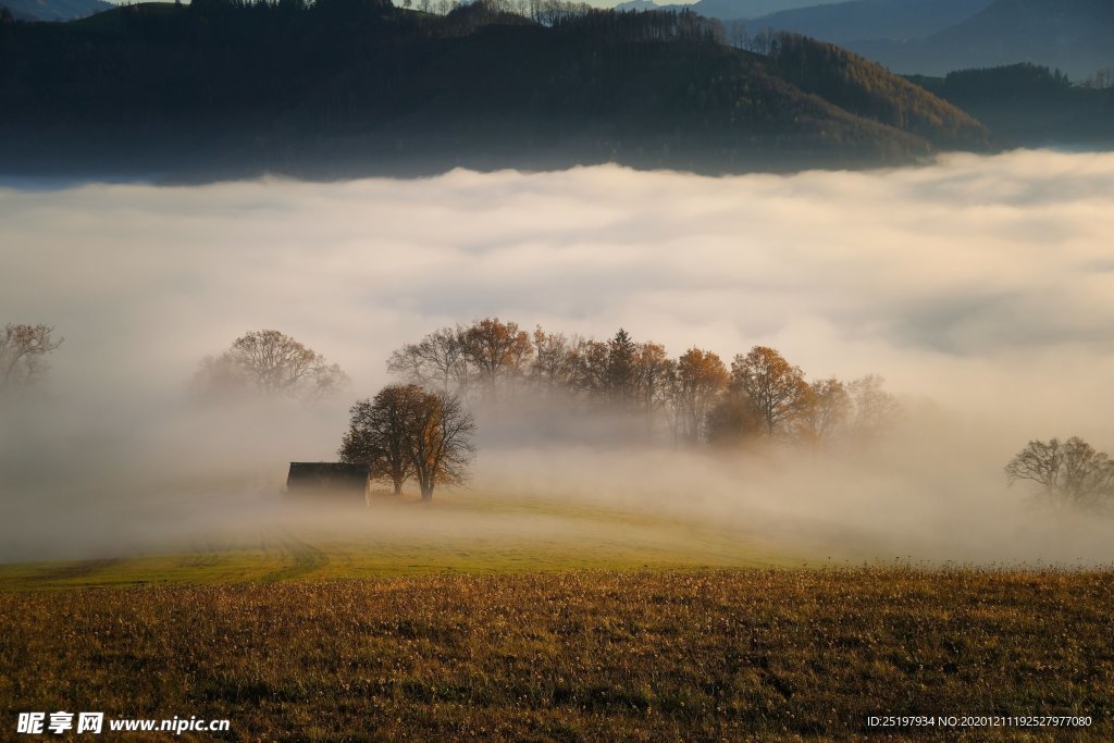 风景