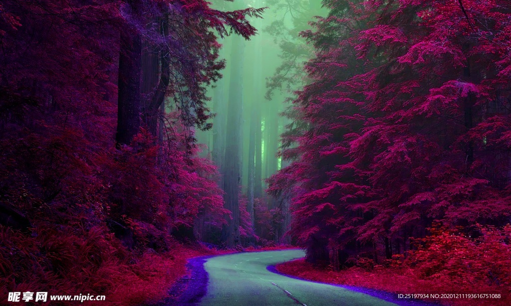 风景