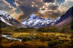 风景