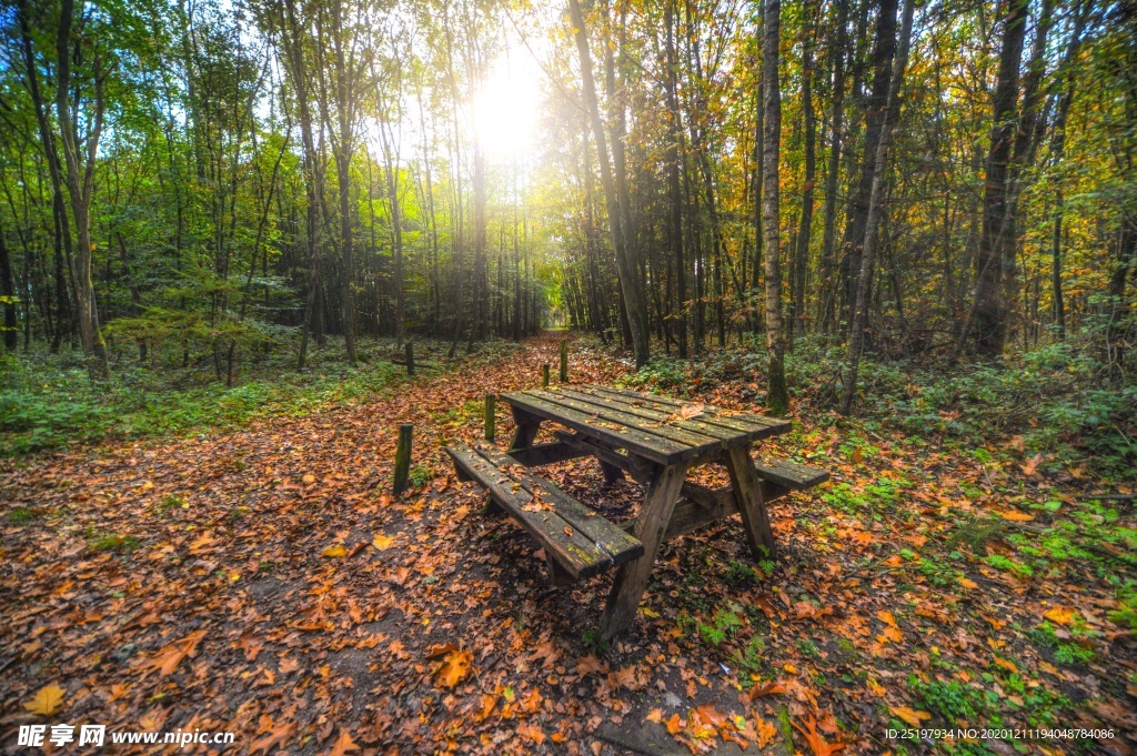 风景