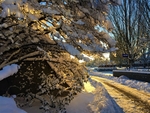 雪景
