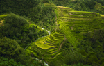 风景