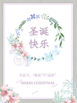 圣诞节