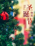 圣诞节