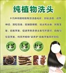 纯植物洗头